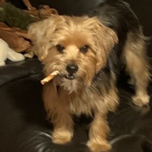 Meet your Posher, Edward